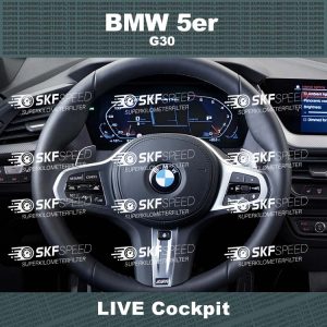 BMW 5er G30 LIVE Cockpit mileage blocker