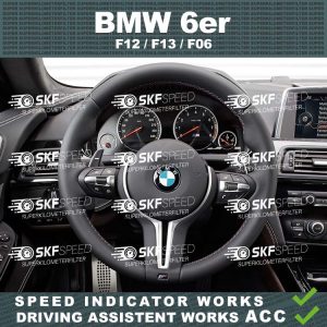 BMW 6er F12 F13 F06 mileage blocker