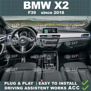 BMW X2 mileage blocker