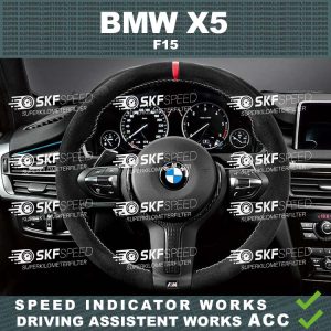 BMW X5 F15 mileage blocker