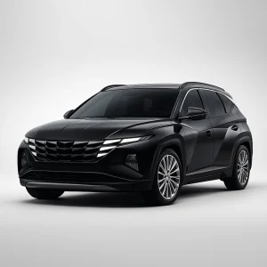 HYUNDAI TUCSON (4th GEN.) Speedometer Calibration Device