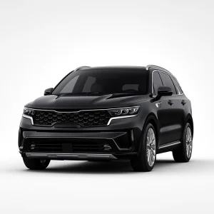 KIA Sorento MQ4 Speedometer Calibration Device