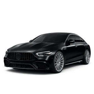 MERCEDES AMG GT X290 Speedometer Calibration Device