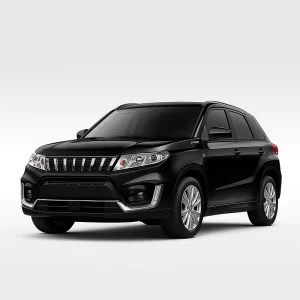 Suzuki Vitara Speedometer Calibration Device