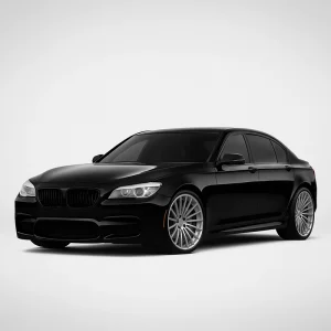 BMW 7ER F01/F02 Speedometer Calibration Device