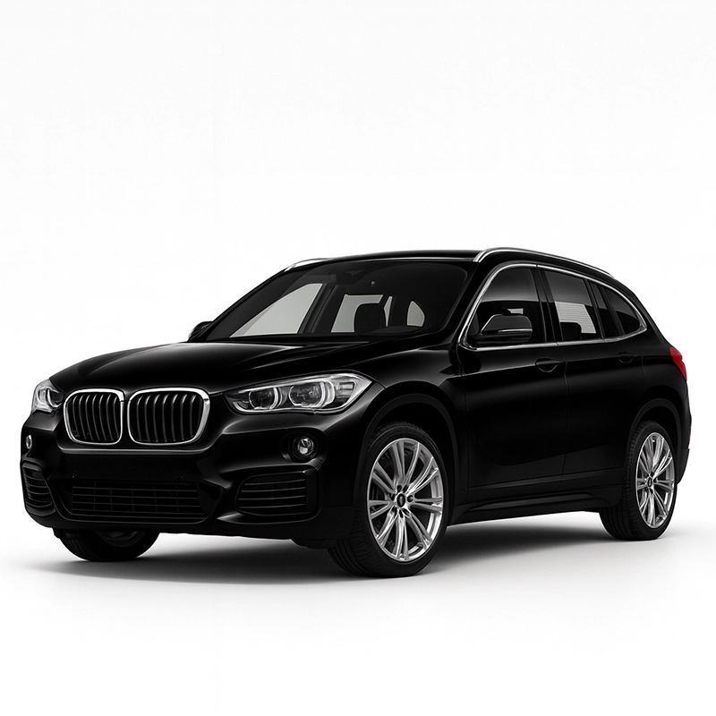 BMW X1 F48 Speedometer Calibration Device