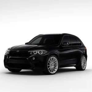 BMW X5 F15 Speedometer Calibration Device