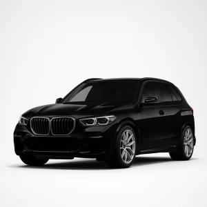 BMW X5 G05 Speedometer Calibration Device