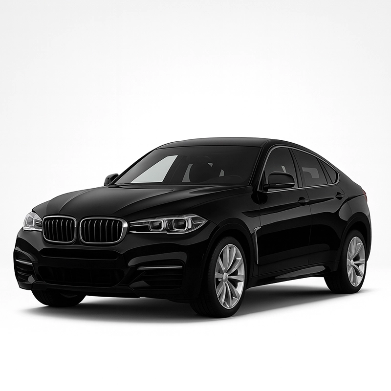 BMW X6 F16 Speedometer Calibration Device