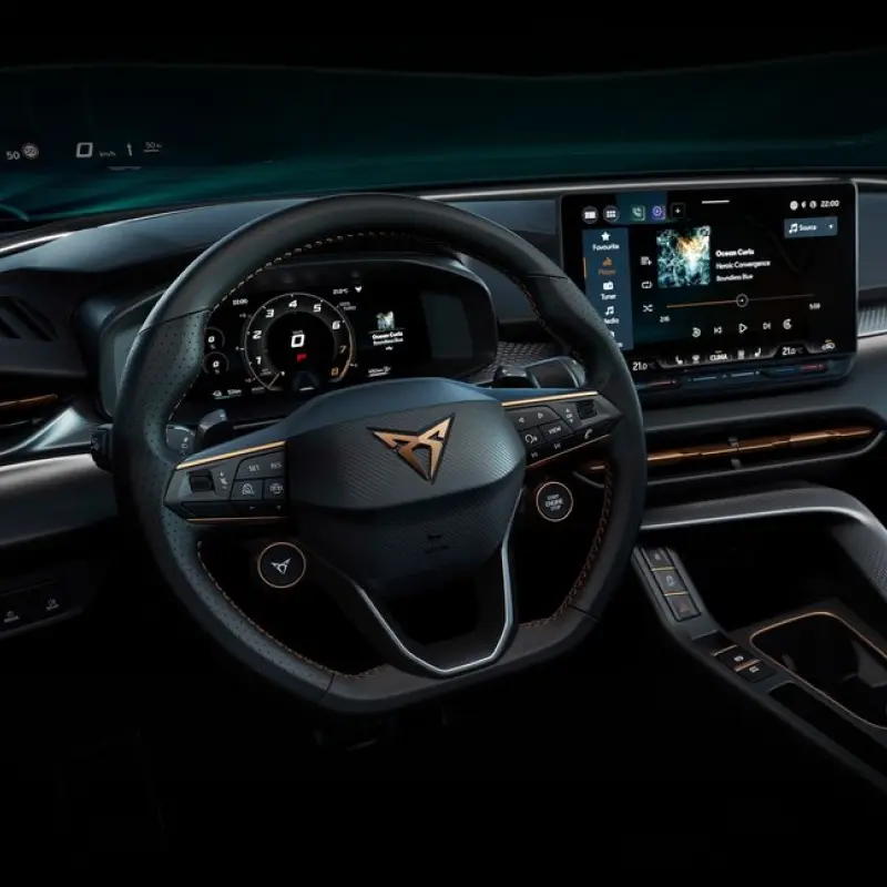 CUPRA Terramar Memory Module