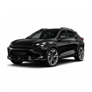 Cupra Formentor mileage blocker